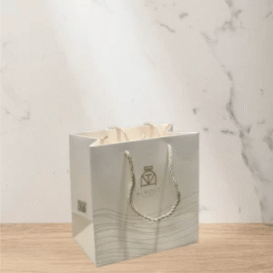 Shopping Bag 7