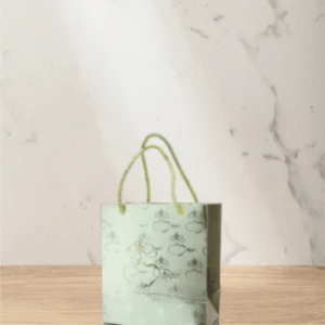 Shopping Bag 15